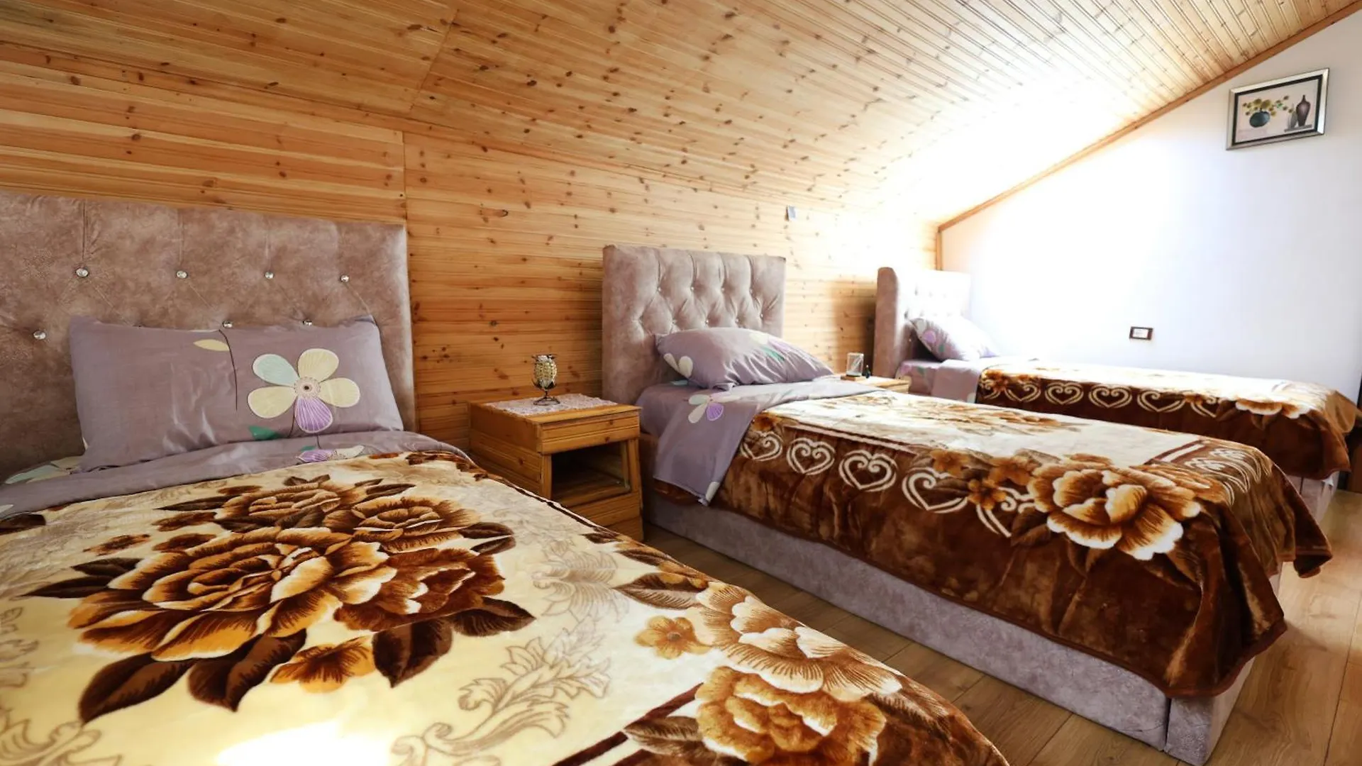 Villa Samuela Cozy Retreat Berat